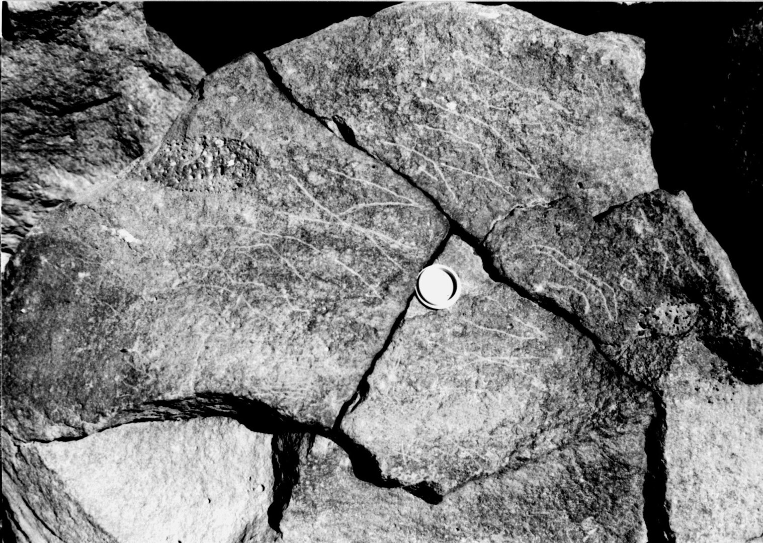 inscription of siglum GS 12
