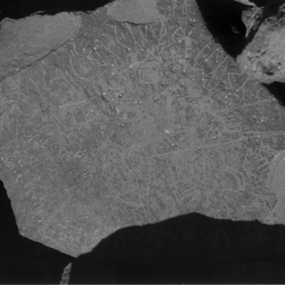 inscription of siglum GS 48