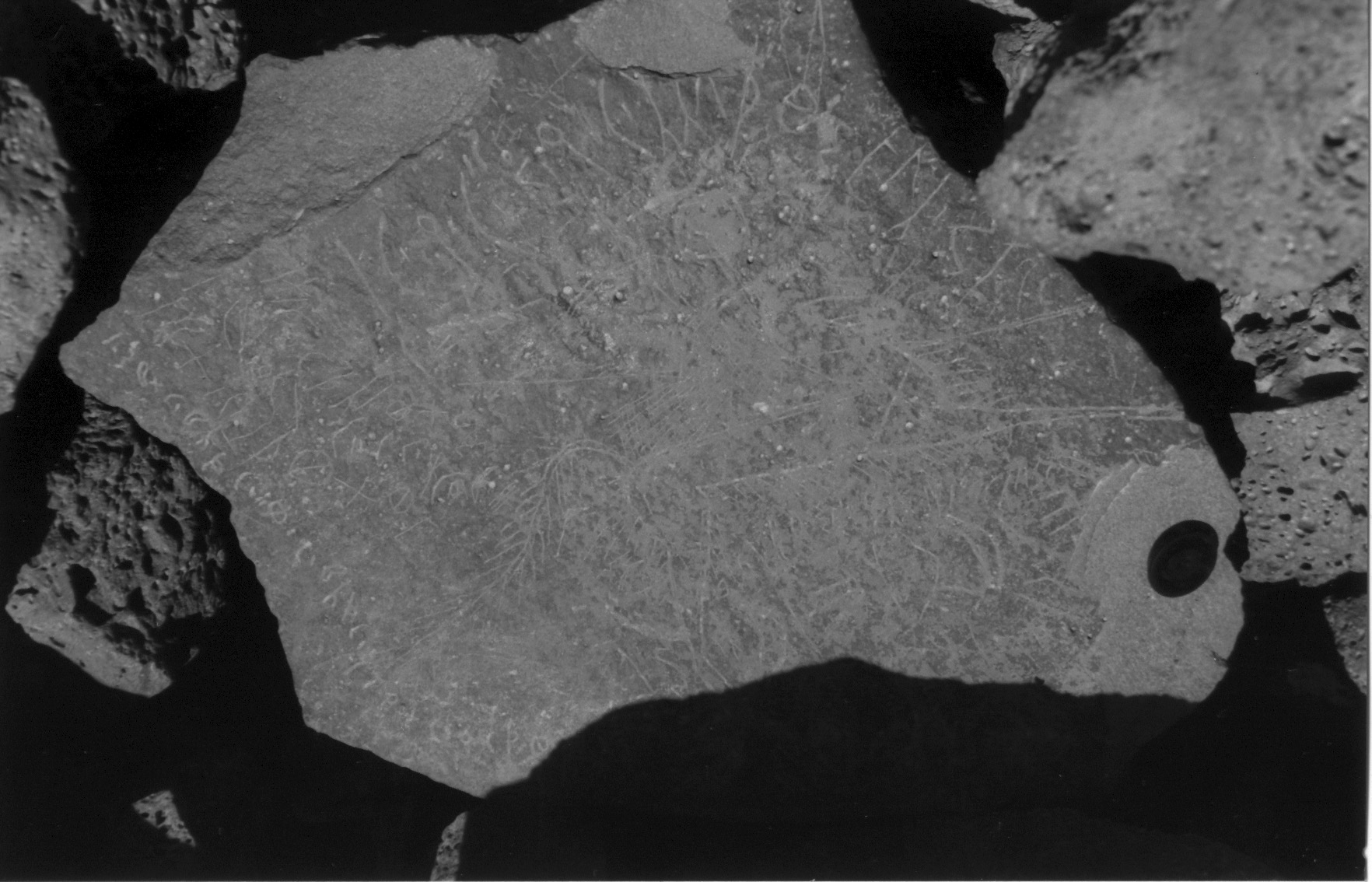 inscription of siglum GS 49