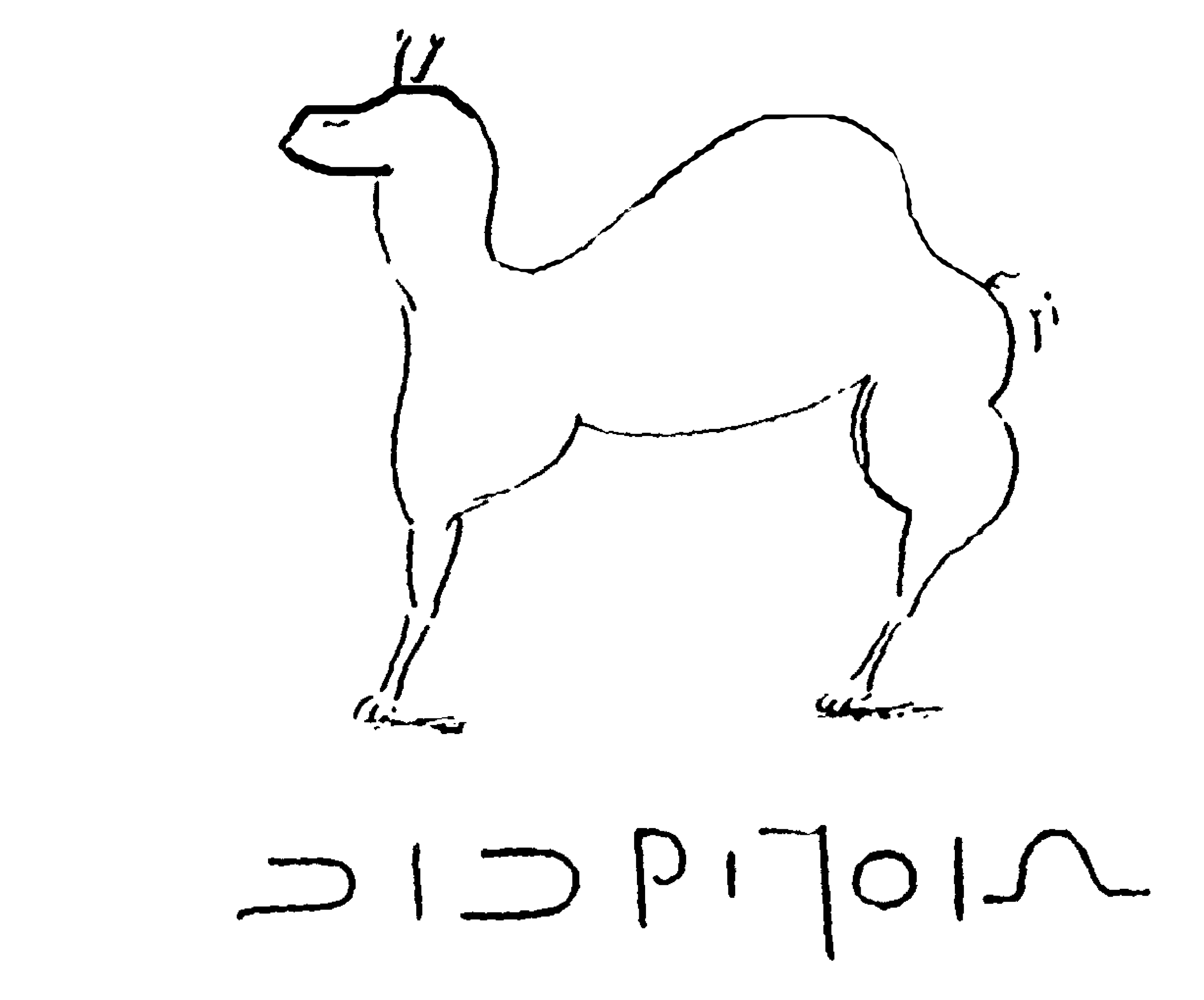 inscription of siglum Graham 31
