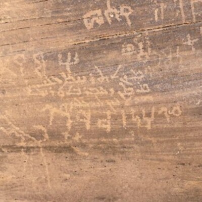 Image of HAB_Syr 1