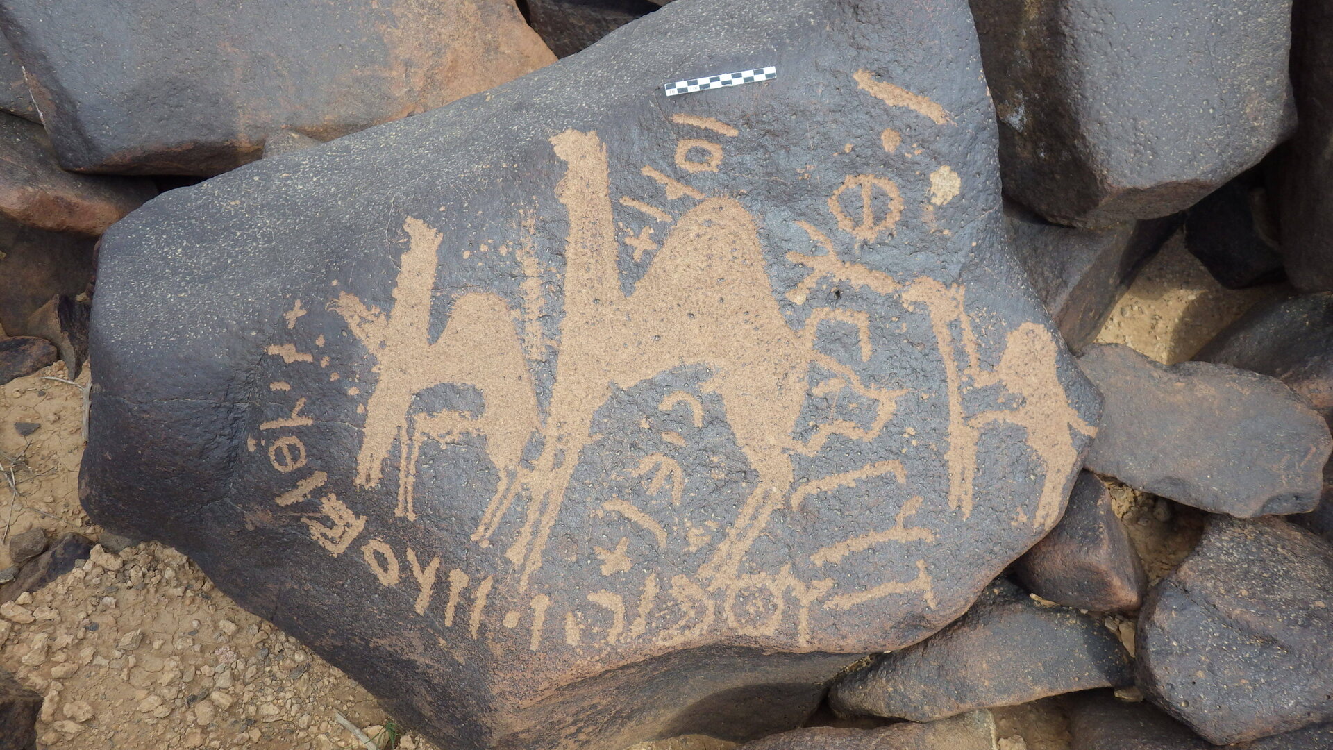 inscription of siglum HASI 1