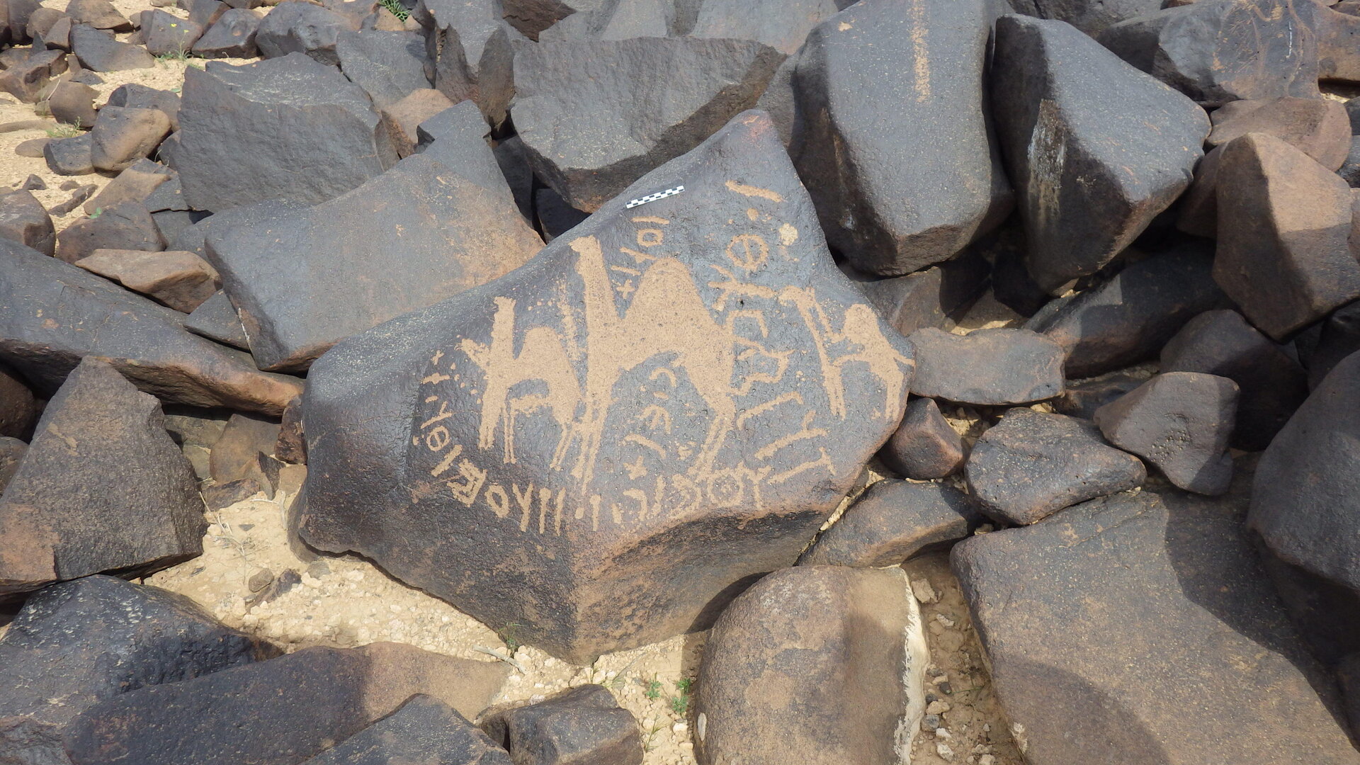 inscription of siglum HASI 1