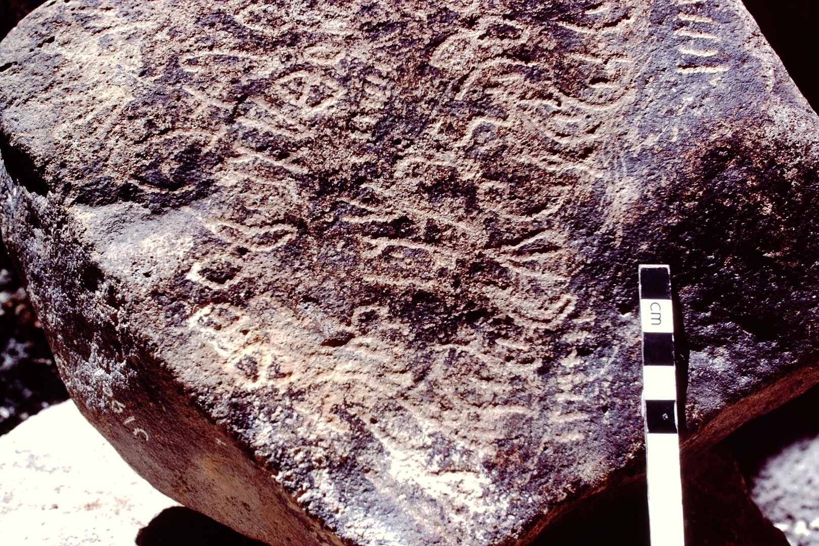 inscription of siglum HCH 100