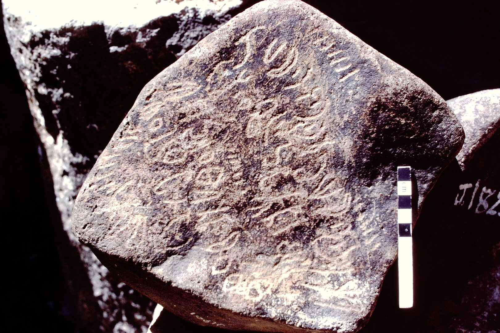 inscription of siglum HCH 100