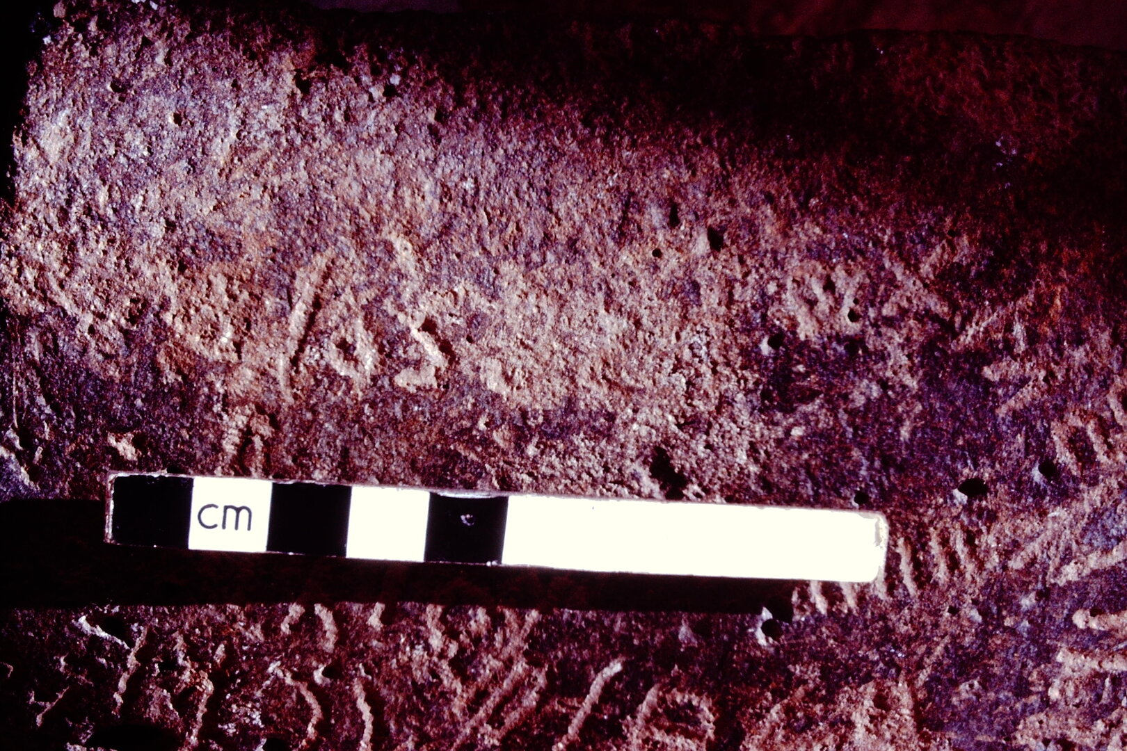 inscription of siglum HCH 102