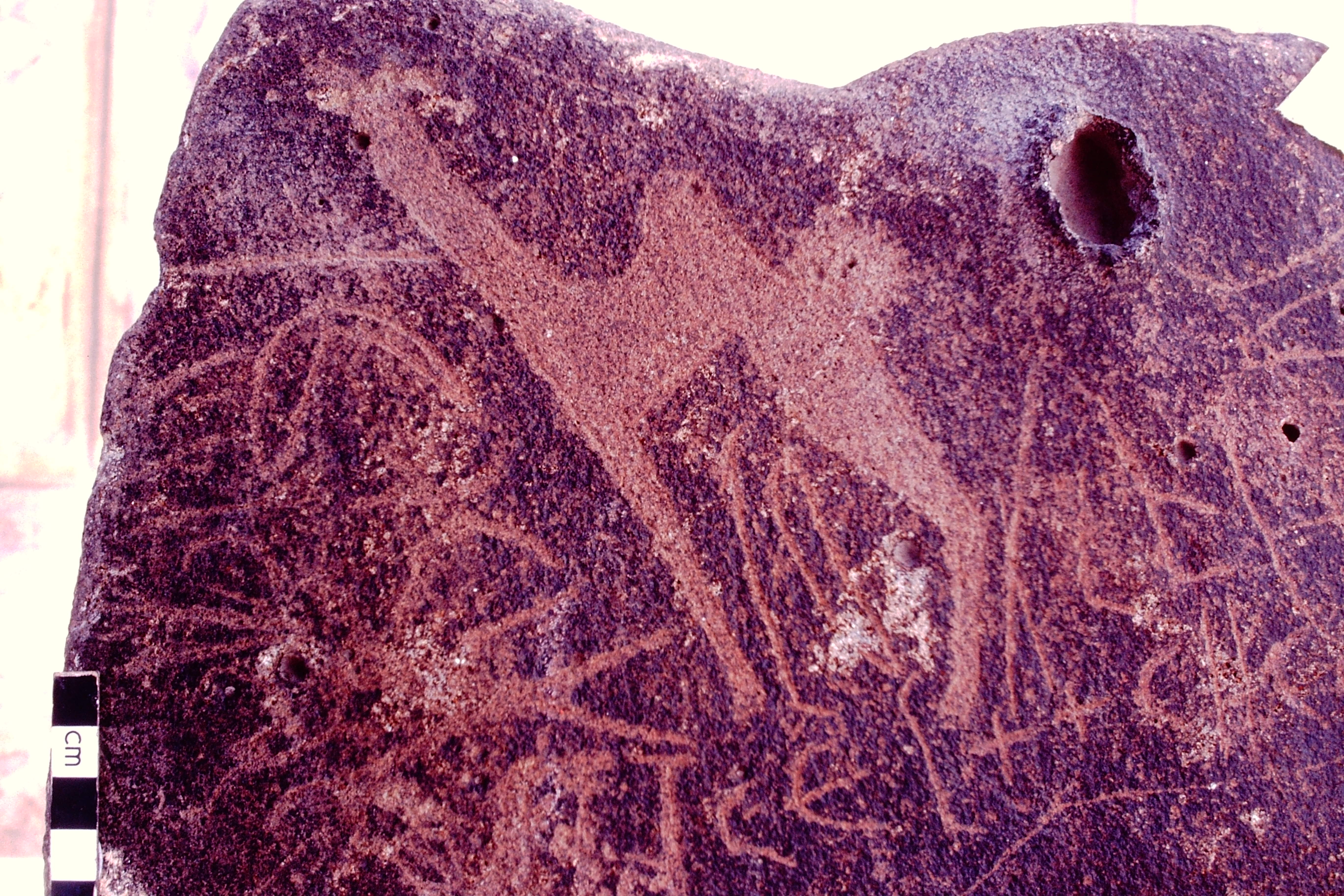 inscription of siglum HCH 144
