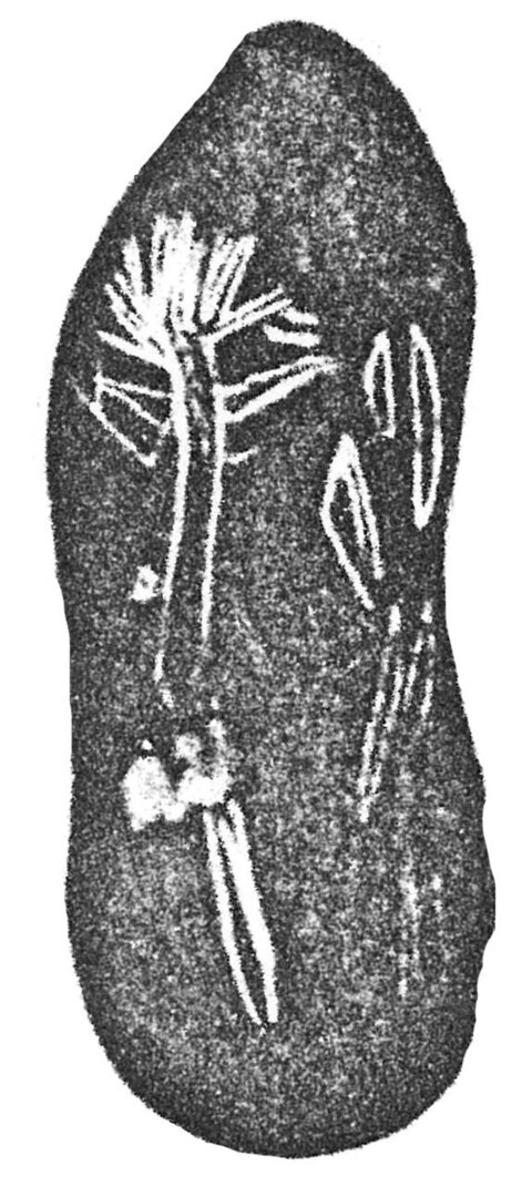 inscription of siglum HCH 181