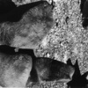 inscription of siglum HCH 24