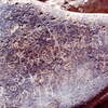 inscription of siglum HCH 33