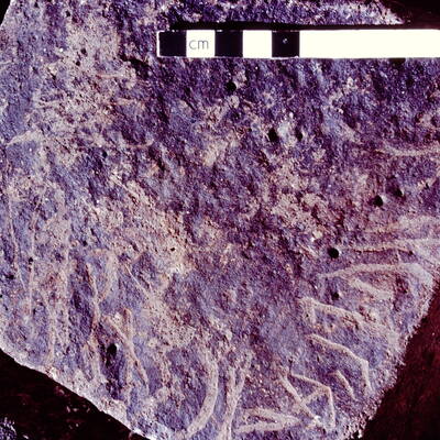 inscription of siglum HCH 49