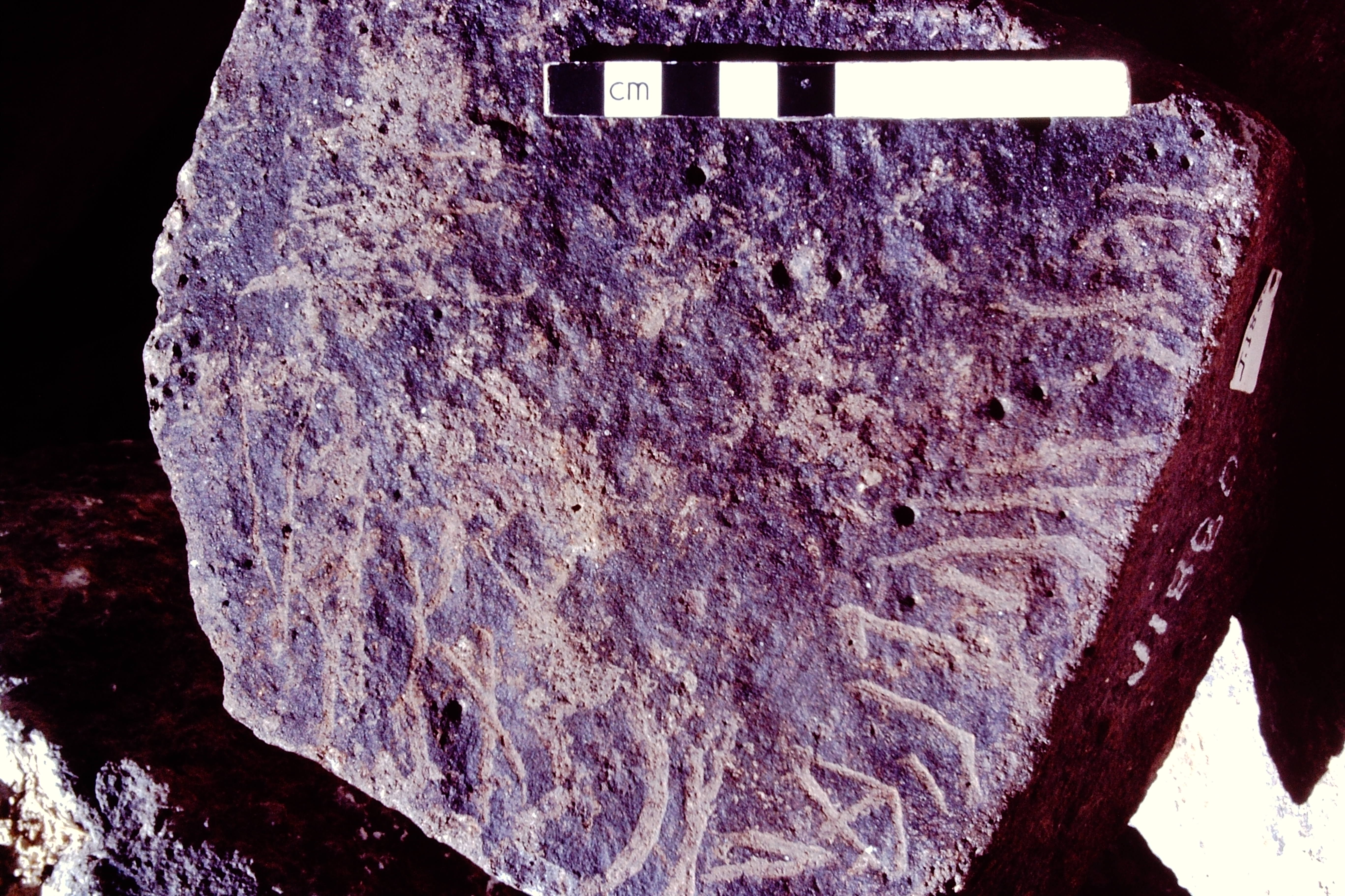 inscription of siglum HCH 49
