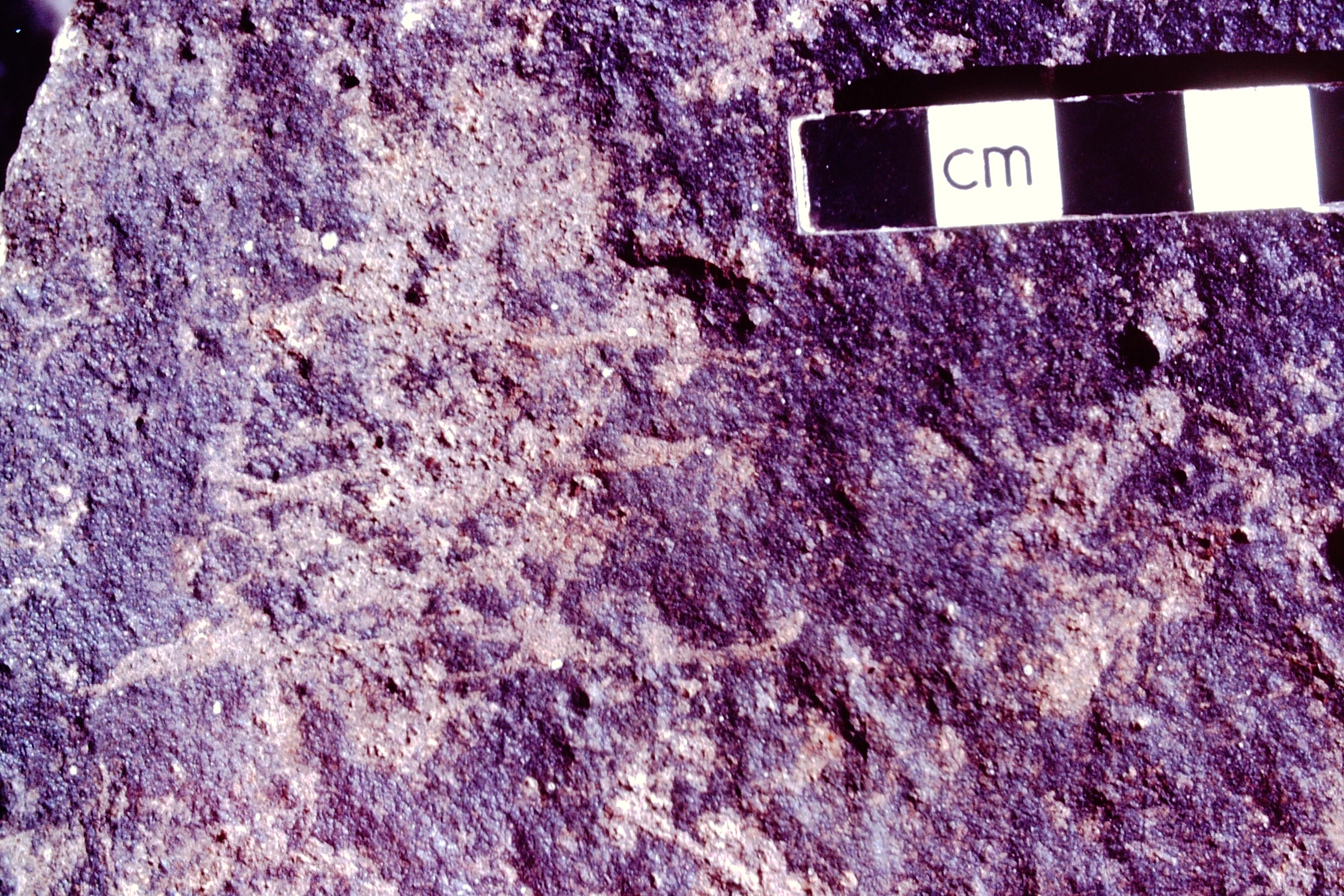 inscription of siglum HCH 49