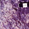 inscription of siglum HCH 49