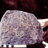 inscription of siglum HCH 49