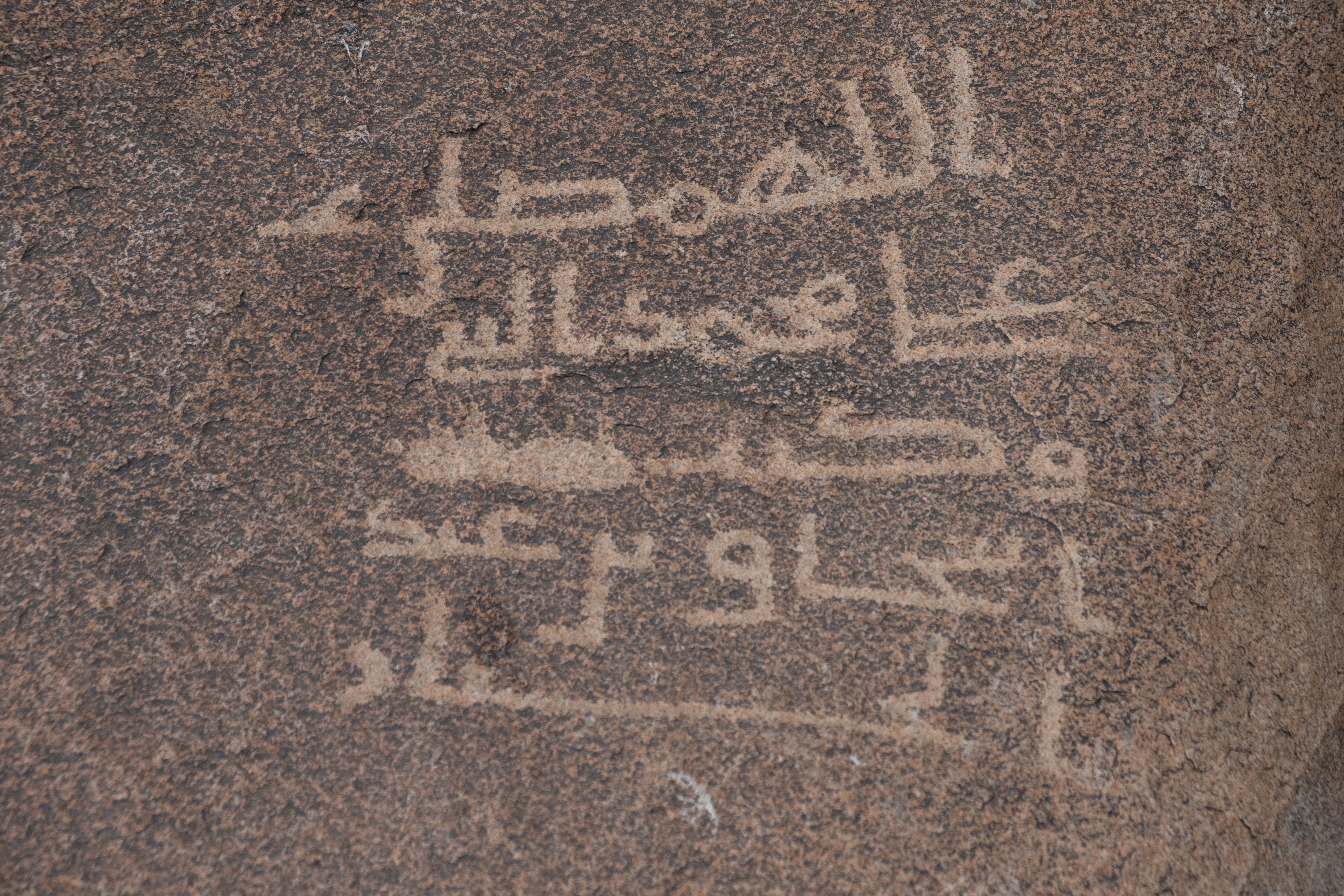 Image of HC_001_Test