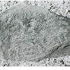 inscription of siglum HH 3