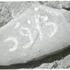 inscription of siglum HH 5