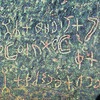 Image of HHV 1