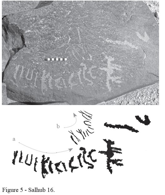 Image of HHWS 16 1-2