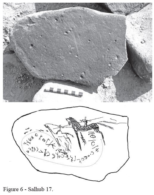 Image of HHWS 17