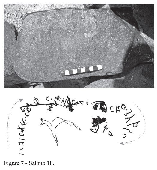 Image of HHWS 18