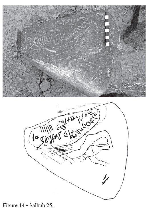 Image of HHWS 25