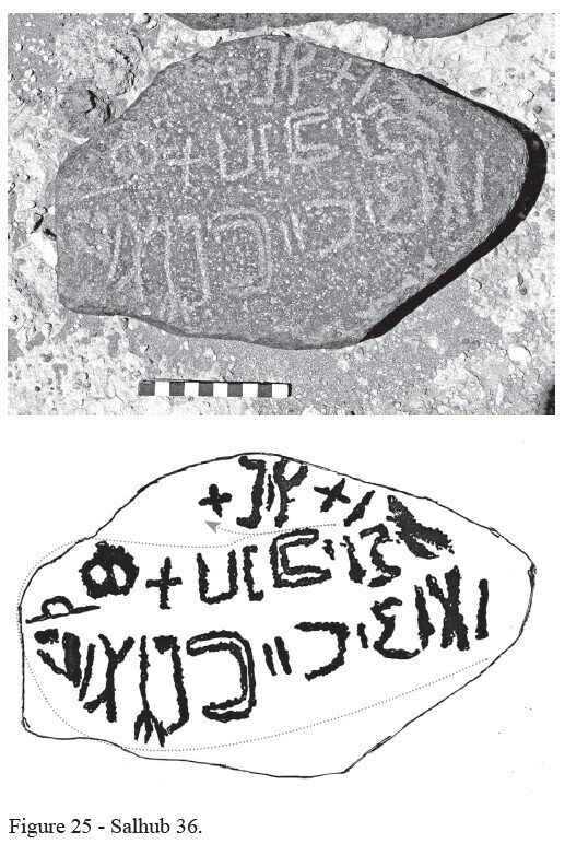 Image of HHWS 36
