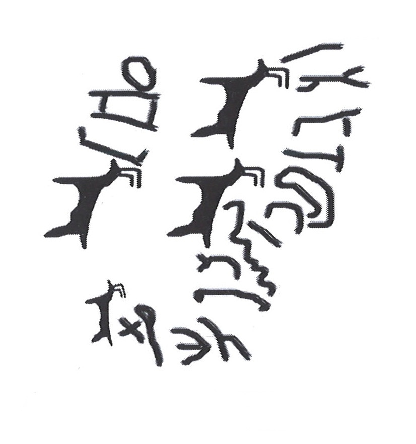 inscription of siglum HNSD 116