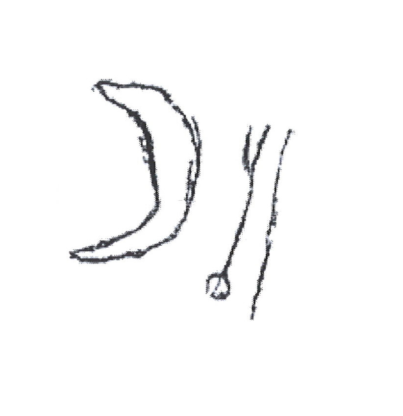 inscription of siglum HNSD 135
