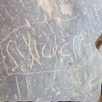 inscription of siglum HNSD 137