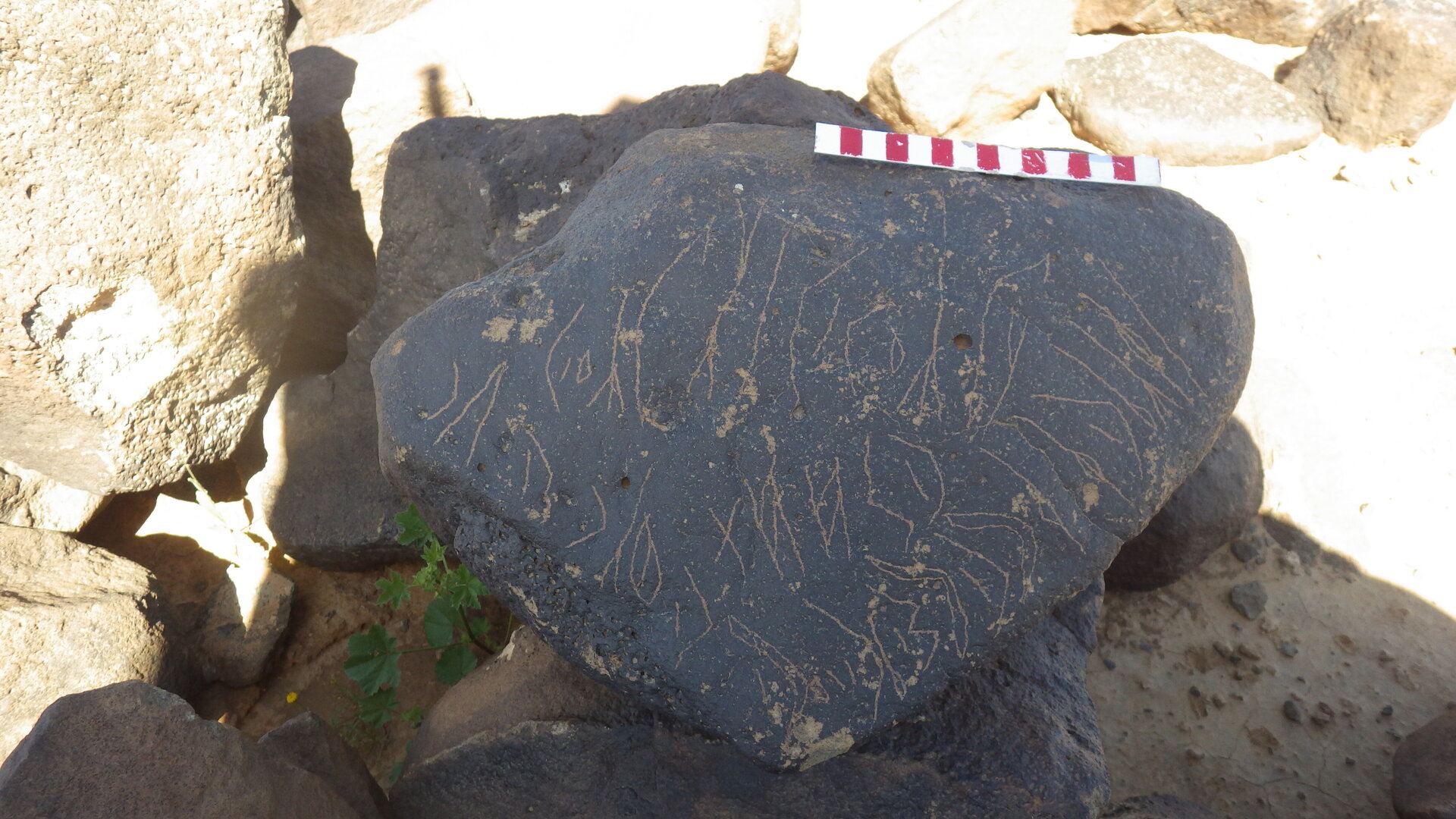 inscription of siglum HNSD 166