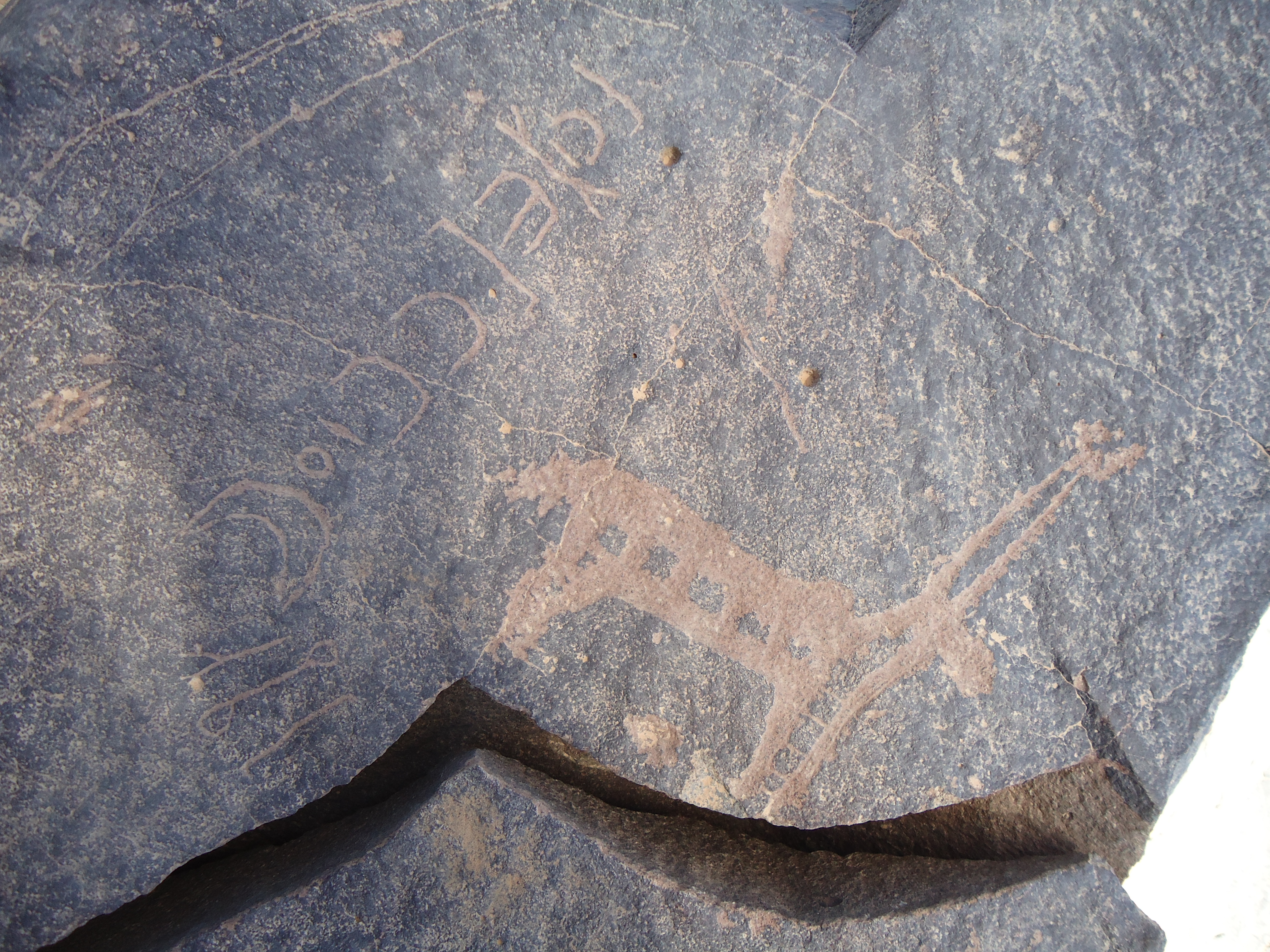 inscription of siglum HNSD 18