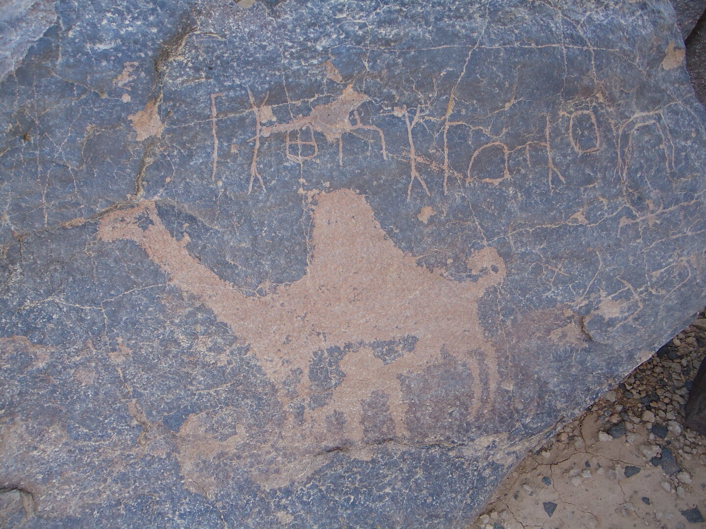 inscription of siglum HNSD 19