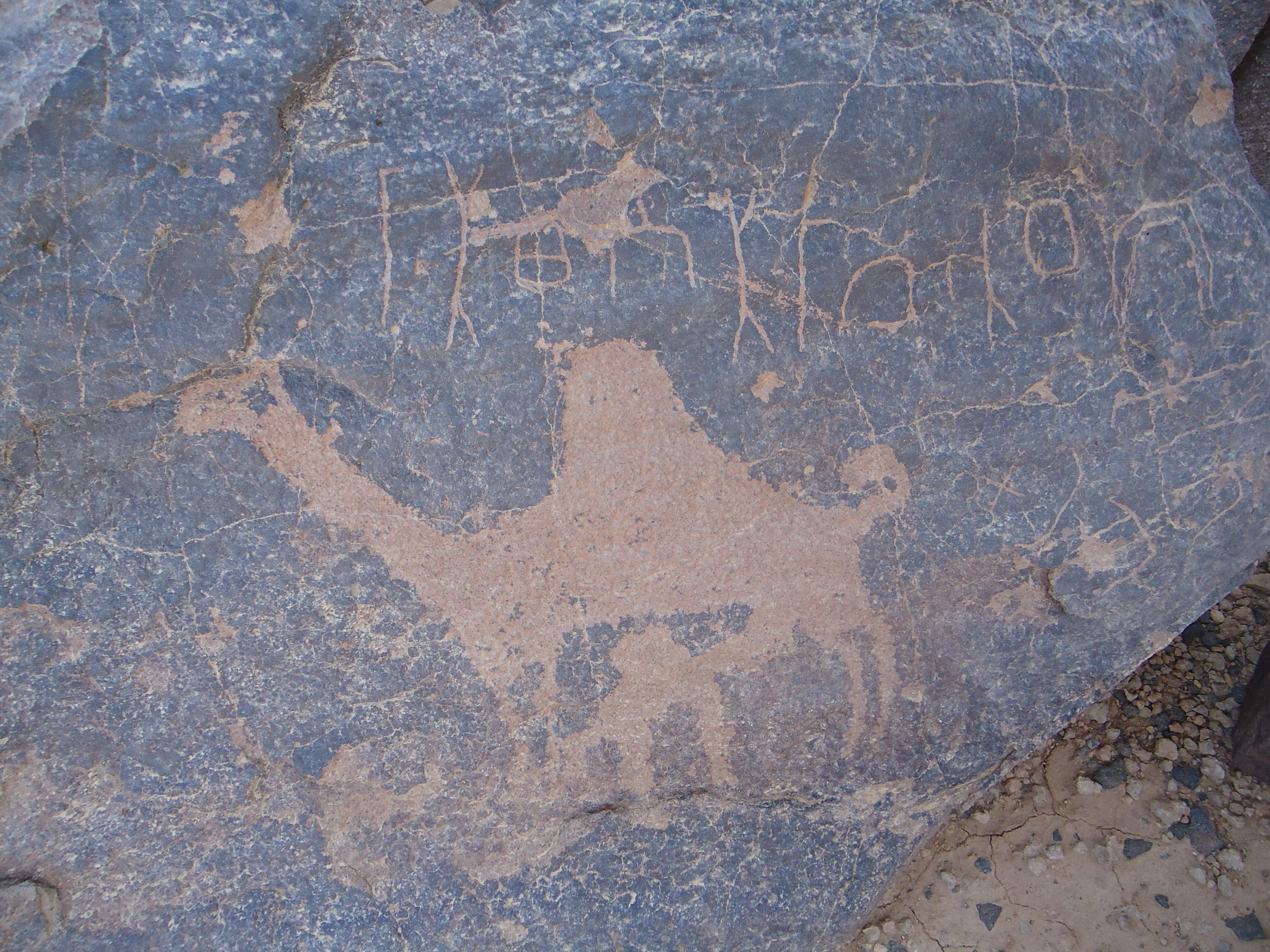 inscription of siglum HNSD 19
