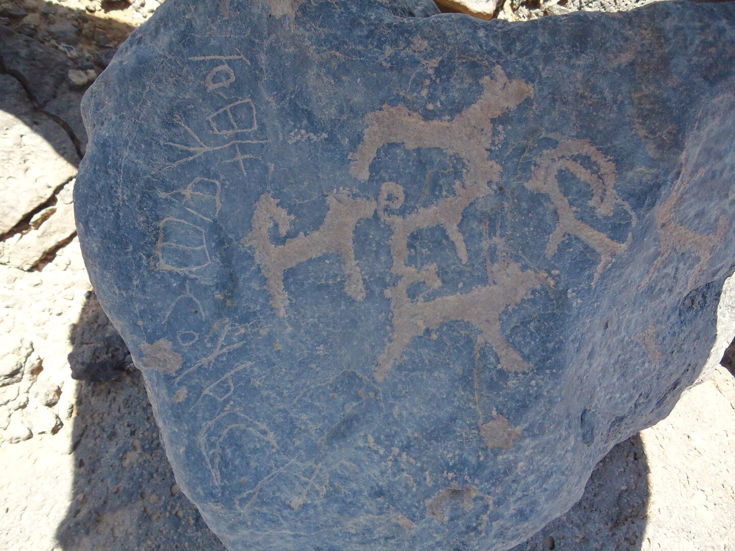 inscription of siglum HNSD 192