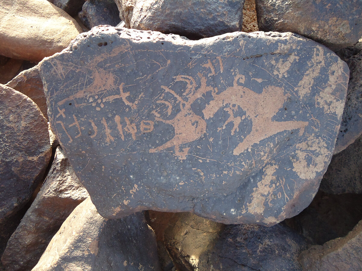 inscription of siglum HNSD 195