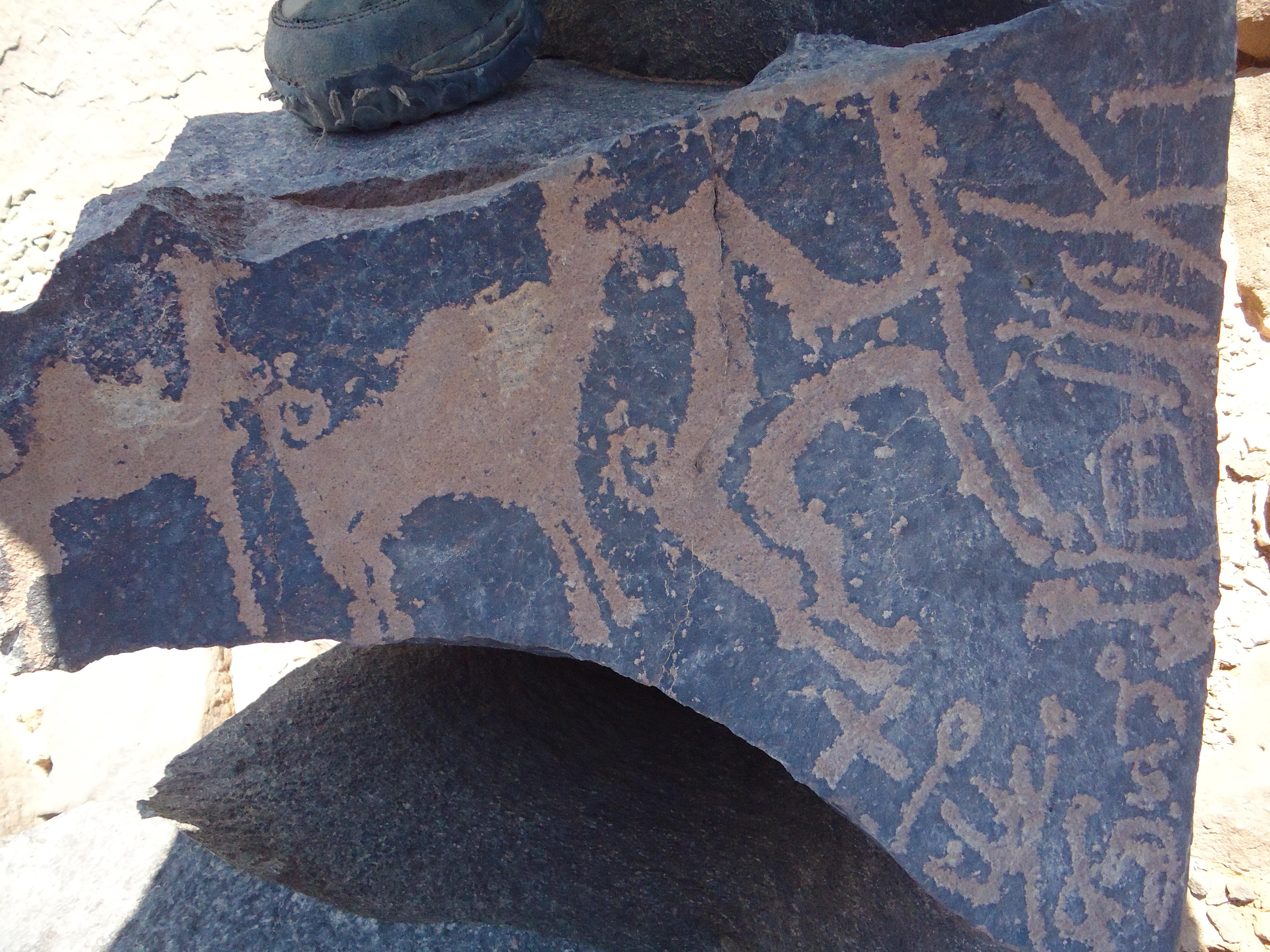 inscription of siglum HNSD 201
