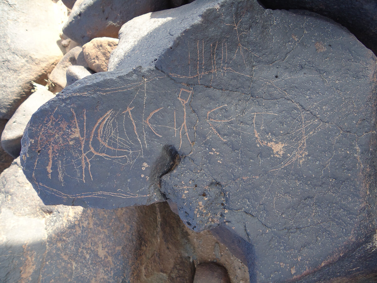 inscription of siglum HNSD 204