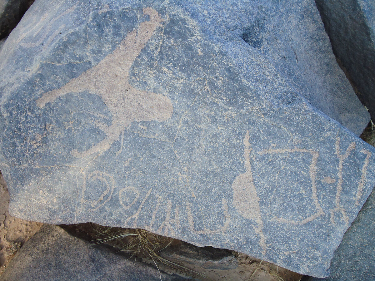 inscription of siglum HNSD 212