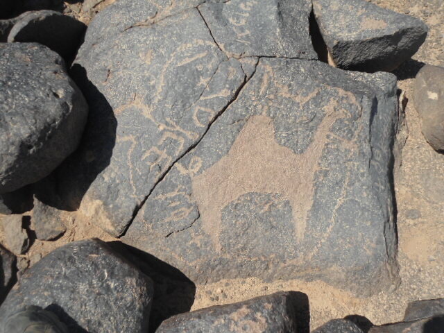 inscription of siglum HNSD 24