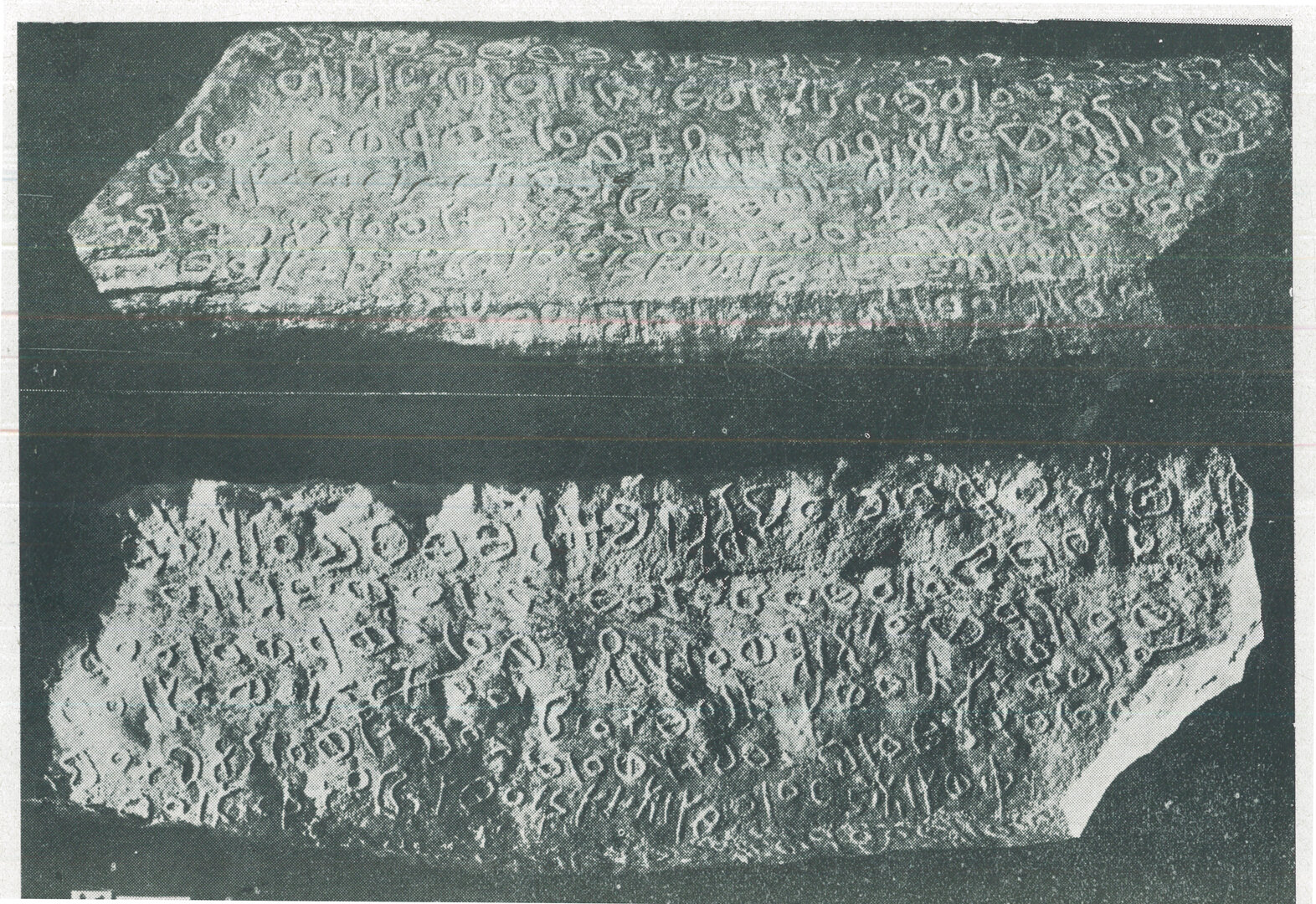 inscription of siglum HSIM 49217