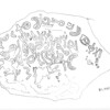inscription of siglum HSIM 49218.1