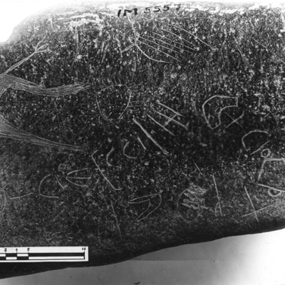 inscription of siglum HSIM 5557