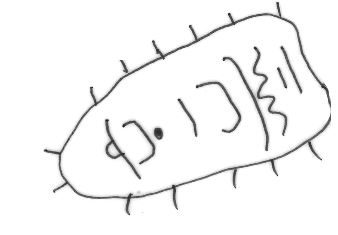 inscription of siglum HYGQ 104