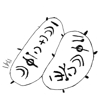 inscription of siglum HaNS 480