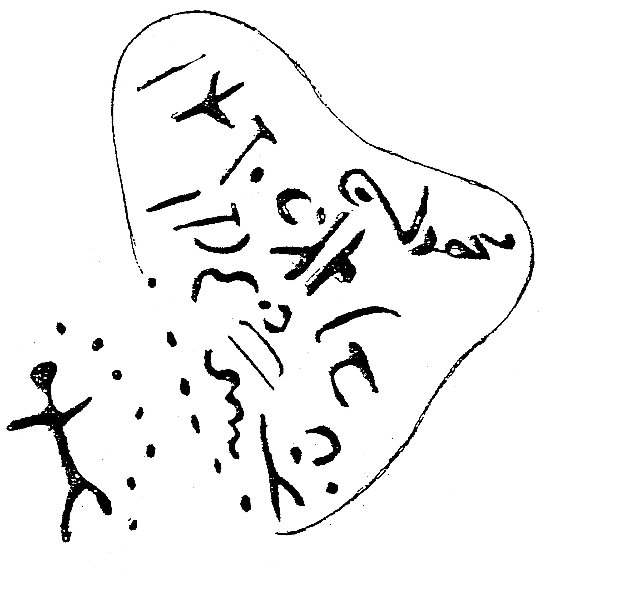inscription of siglum HaNS 502