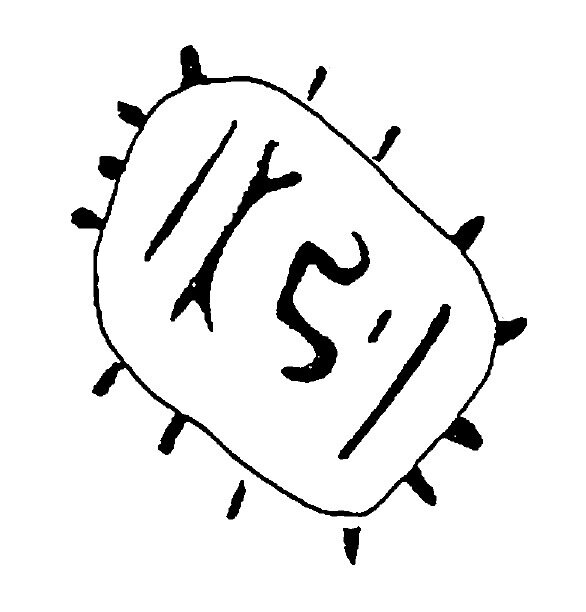 inscription of siglum HaNS 619