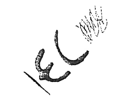 inscription of siglum HaNS 626