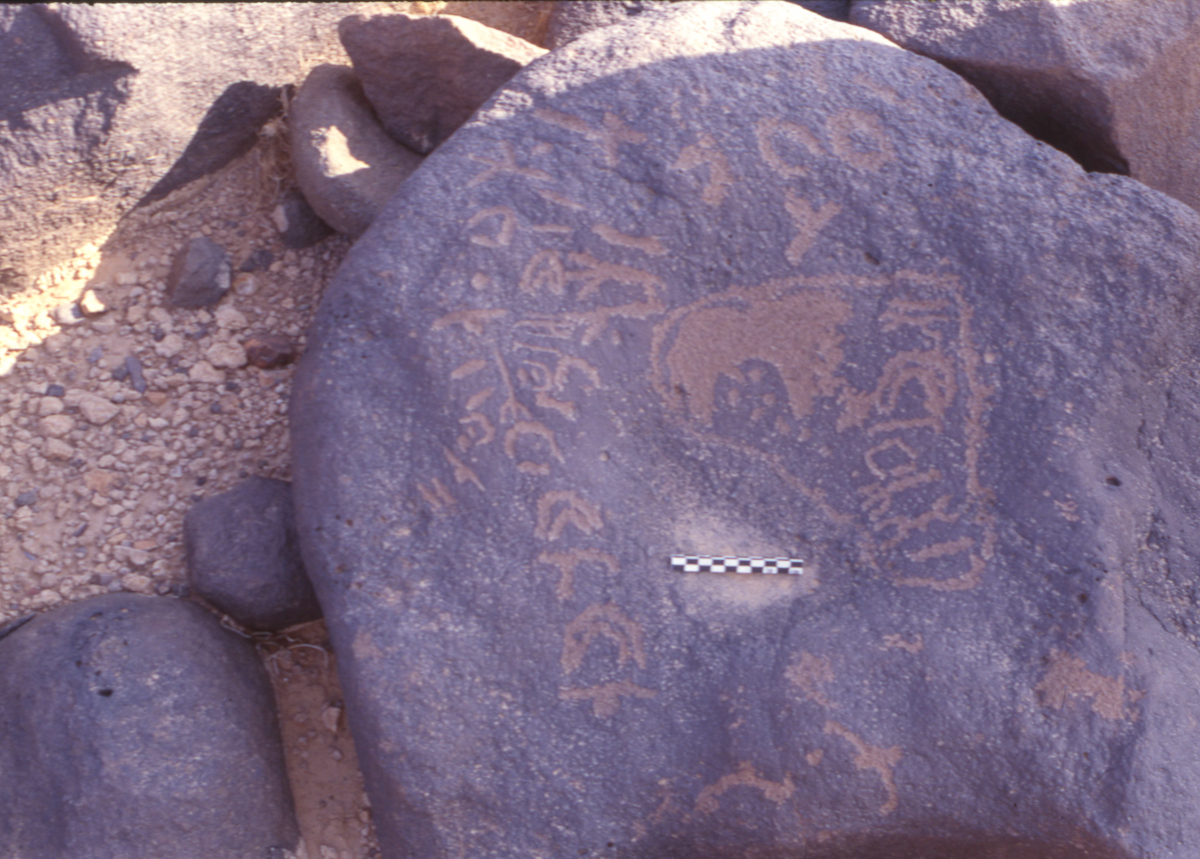inscription of siglum HaNSB 107